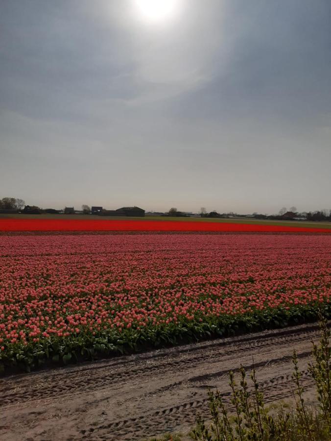 Groot Familiehuis Voor 6 Personen In Landelijke, Rustige Omgeving Vila Breezand Exterior foto