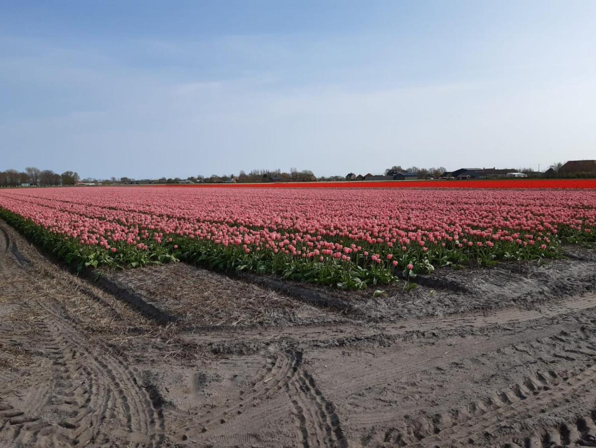 Groot Familiehuis Voor 6 Personen In Landelijke, Rustige Omgeving Vila Breezand Exterior foto