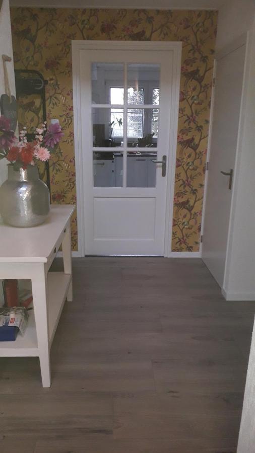 Groot Familiehuis Voor 6 Personen In Landelijke, Rustige Omgeving Vila Breezand Exterior foto